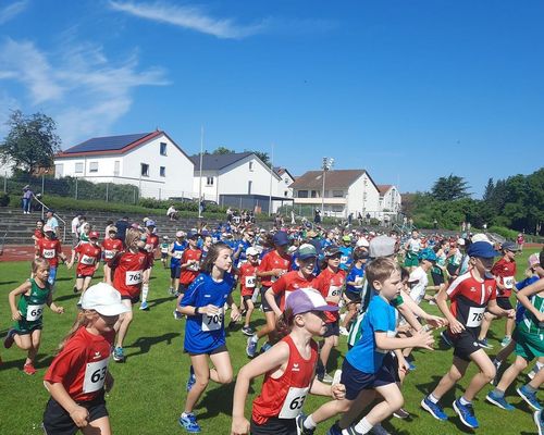 Rekordbeteiligung bei der VR- Talentiade Kinderliga in Flein